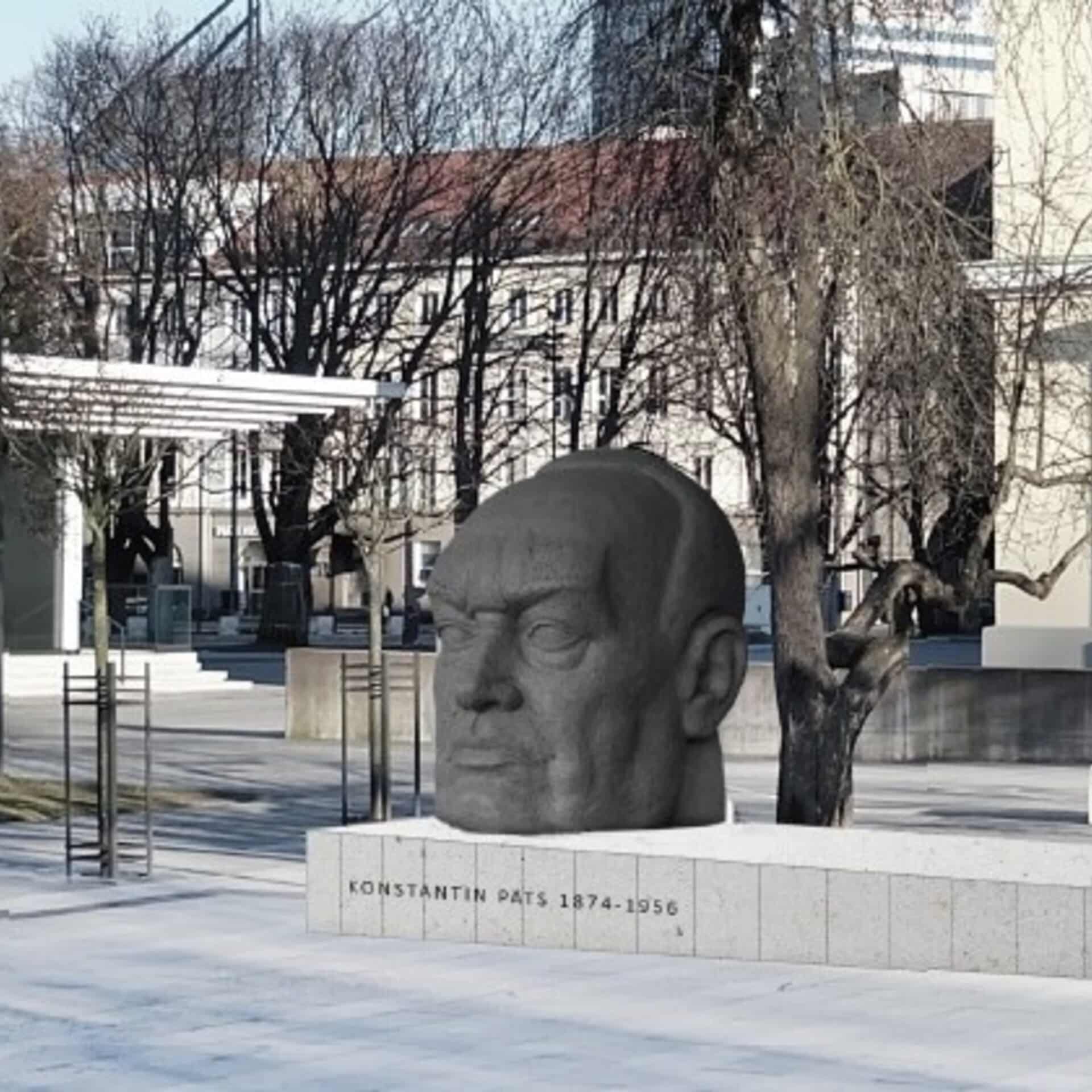 Eesti vabariigi aastapäev 2023, suupisted pidulauale, külla minnes võta kaasa sini-must-valge sõõrikukimp!