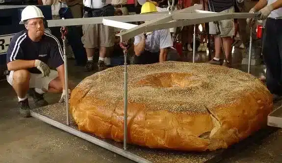 donutsitest, moositäidisega donuts, maailma suurim sõõrik